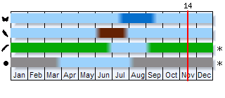 Phenogram based on the literature
