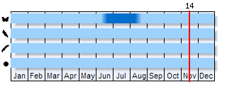 Phenogram based on the literature