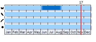 Phenogram based on the literature