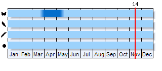 Phenogram based on the literature