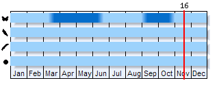 Phenogram based on the literature