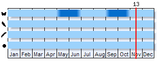Phenogram based on the literature
