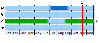 Phenogram based on the literature
