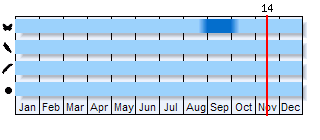 Phenogram based on the literature