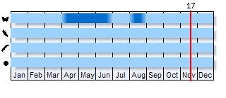Phenogram based on the literature