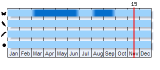 Phenogram based on the literature