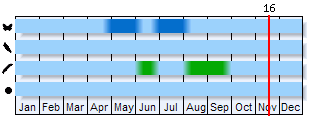 Phenogram based on the literature