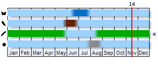 Phenogram based on the literature