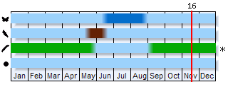 Phenogram based on the literature