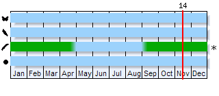 Phenogram based on the literature