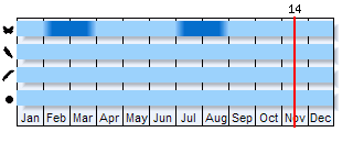 Phenogram based on the literature
