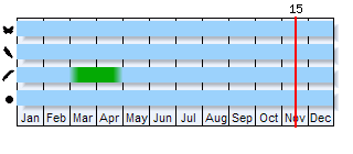 Phenogram based on the literature