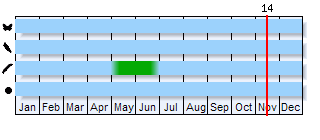 Phenogram based on the literature