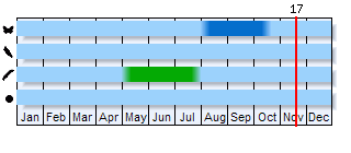 Phenogram based on the literature