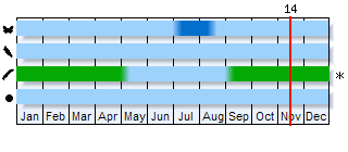 Phenogram based on the literature