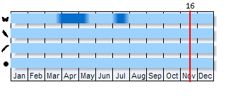 Phenogram based on the literature