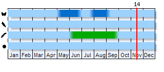 Phenogram based on the literature