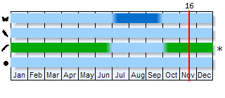 Phenogram based on the literature
