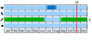 Phenogram based on the literature