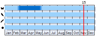 Phenogram based on the literature
