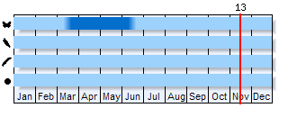 Phenogram based on the literature