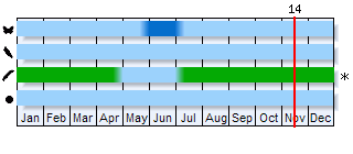 Phenogram based on the literature