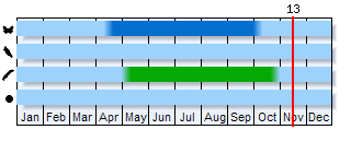 Phenogram based on the literature