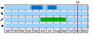 Phenogram based on the literature