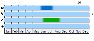 Phenogram based on the literature