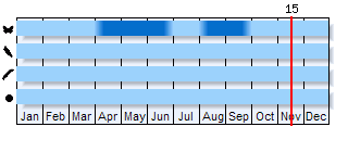 Phenogram based on the literature