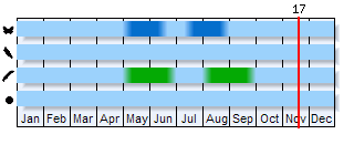 Phenogram based on the literature
