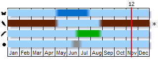 Phenogram based on the literature