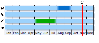 Phenogram based on the literature