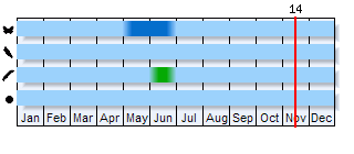 Phenogram based on the literature