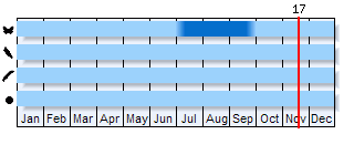 Phenogram based on the literature
