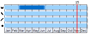 Phenogram based on the literature