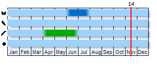 Phenogram based on the literature