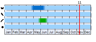 Phenogram based on the literature