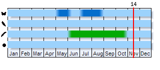 Phenogram based on the literature