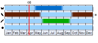 Phenogram based on literature