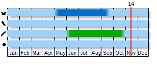 Phenogram based on the literature