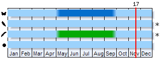 Phenogram based on the literature