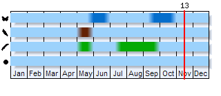 Phenogram based on the literature