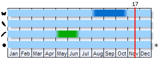 Phenogram based on the literature