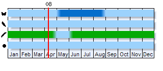 Phenogram based on literature