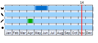 Phenogram based on the literature
