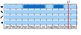 Phenogram based on the literature