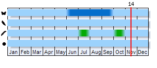 Phenogram based on the literature