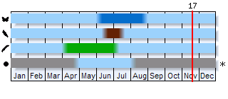 Phenogram based on the literature