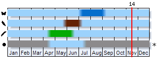 Phenogram based on the literature